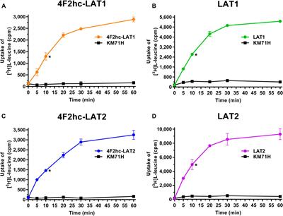 Yeast Cell-Based Transport Assay for the Functional Characterization of Human 4F2hc-LAT1 and ‐LAT2, and LAT1 and LAT2 Substrates and Inhibitors